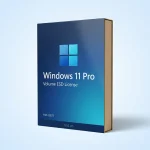 Windows 11 Pro Retail ESD
