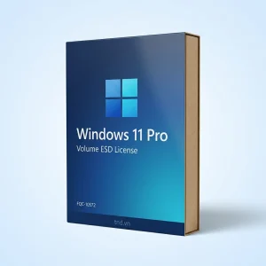 Windows 11 Pro Retail ESD