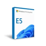 Windows 11 Enterprise E5